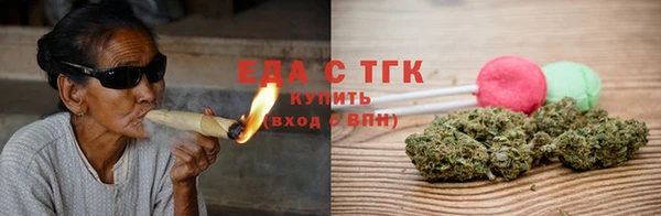 хмурый Магас