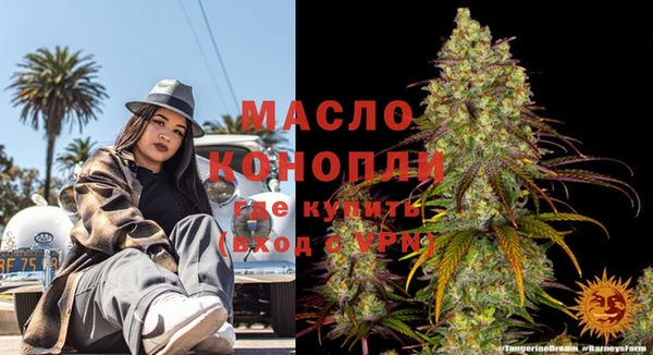 хмурый Магас