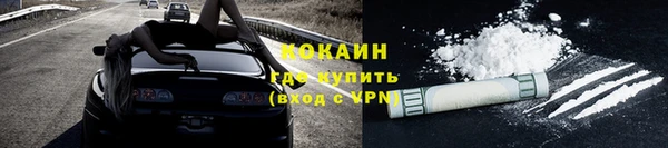 хмурый Магас