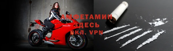 хмурый Магас