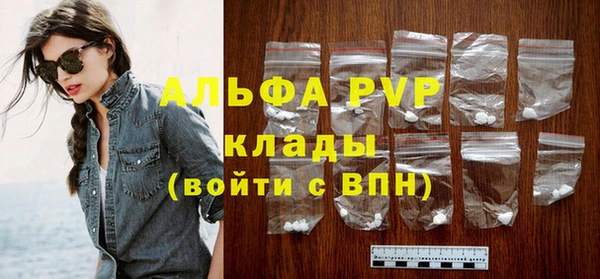 хмурый Магас